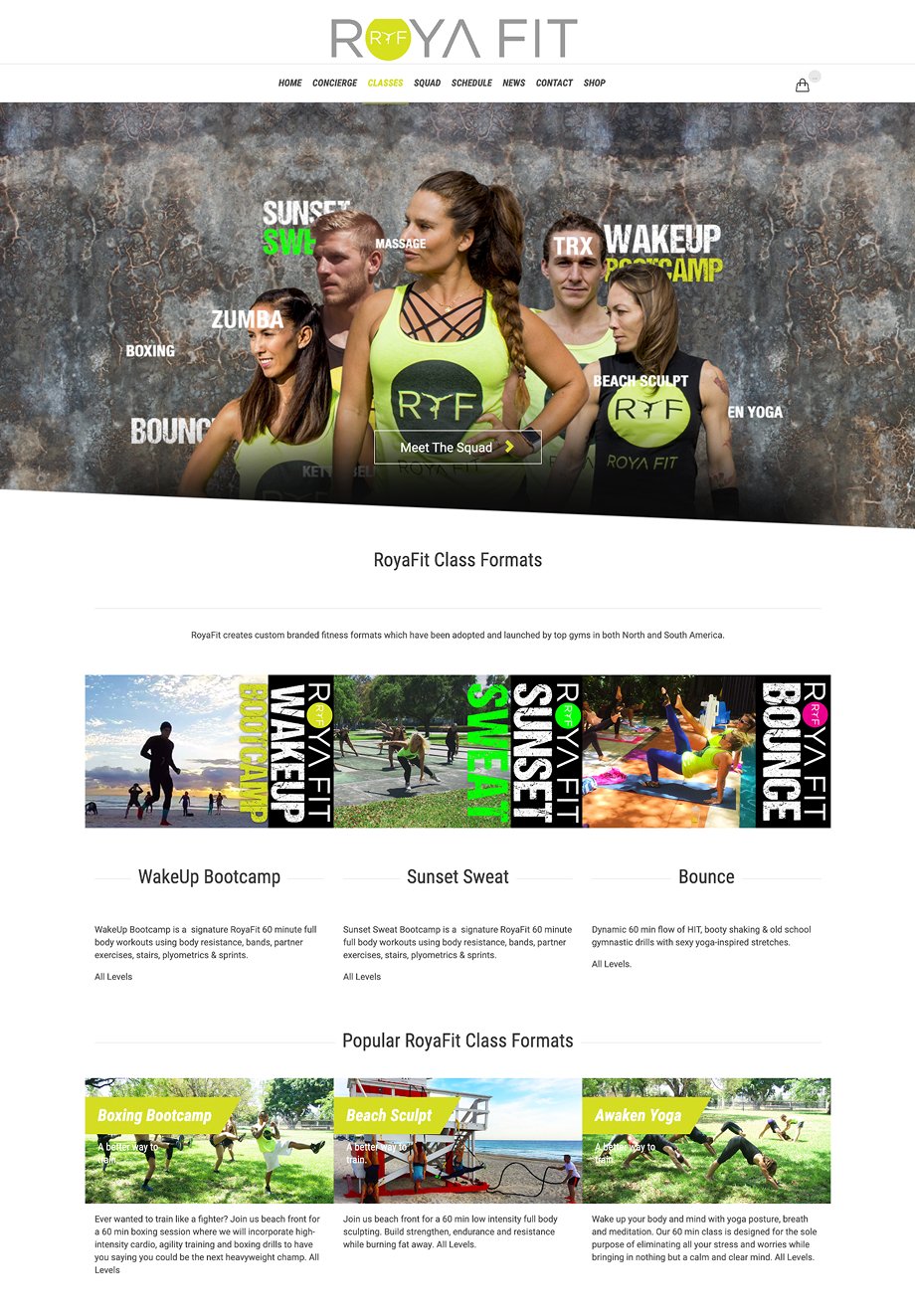 RoyaFit Home page — 2016